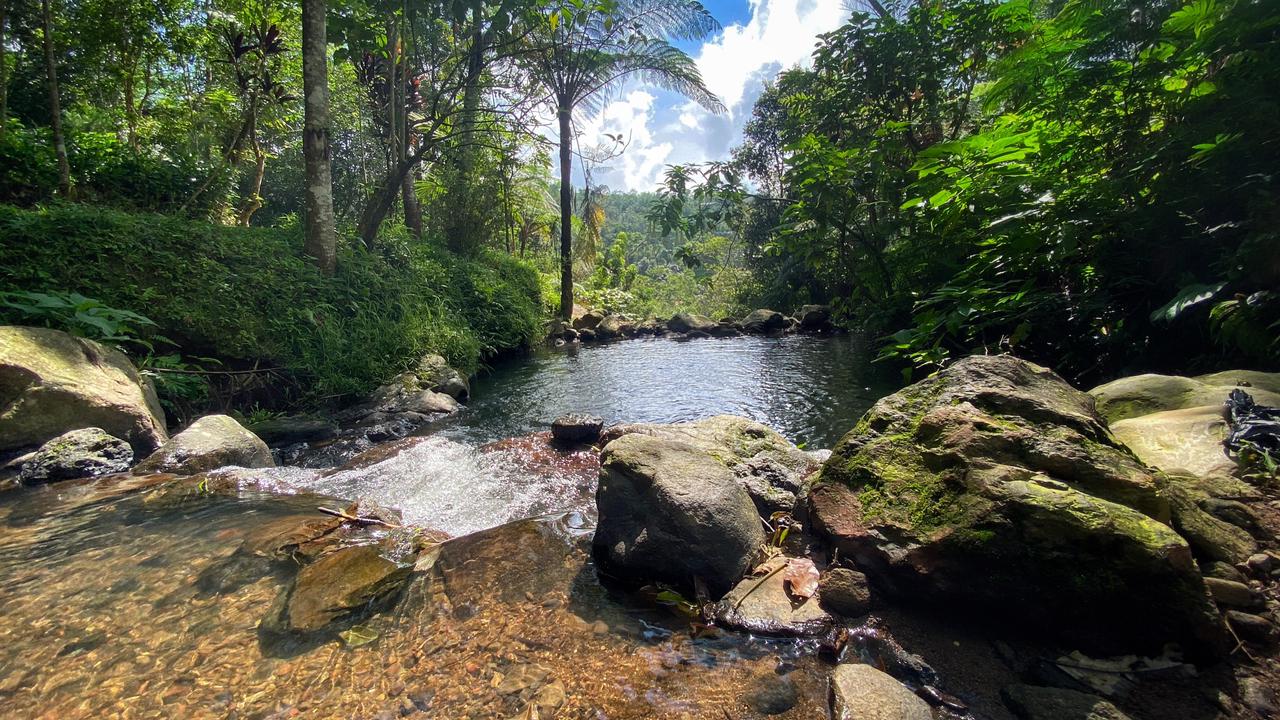 Curug Mandala - Sadim